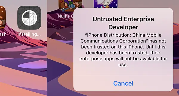 Untrusted Enterprise Developer of Null's Royale